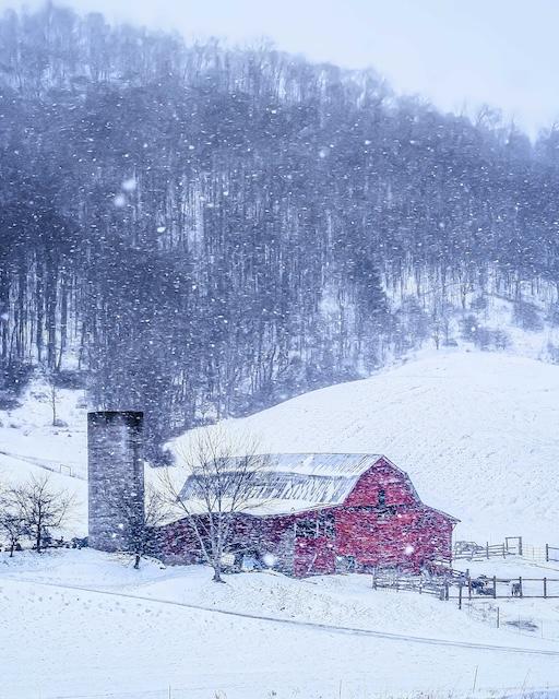 The Essence of a Wintry Embrace