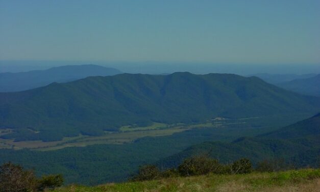 Hiking with Harrington: Porter Creek & Gregory Bald