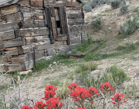 Ghost mines tell a story