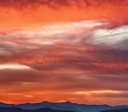 Patience – a photographer’s virtue