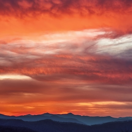 Patience – a photographer’s virtue