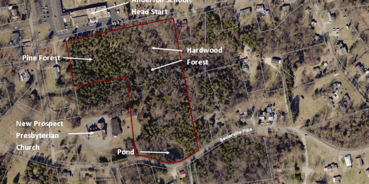 Ijams grows + Josh Dobbs + Heather Ripley + Cody Gentry ++