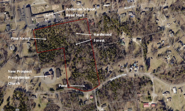 Ijams grows + Josh Dobbs + Heather Ripley + Cody Gentry ++