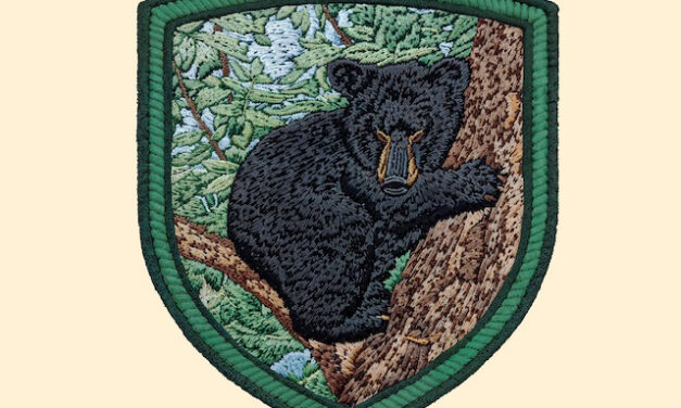 Don’t miss Bear Day at Zoo Knoxville