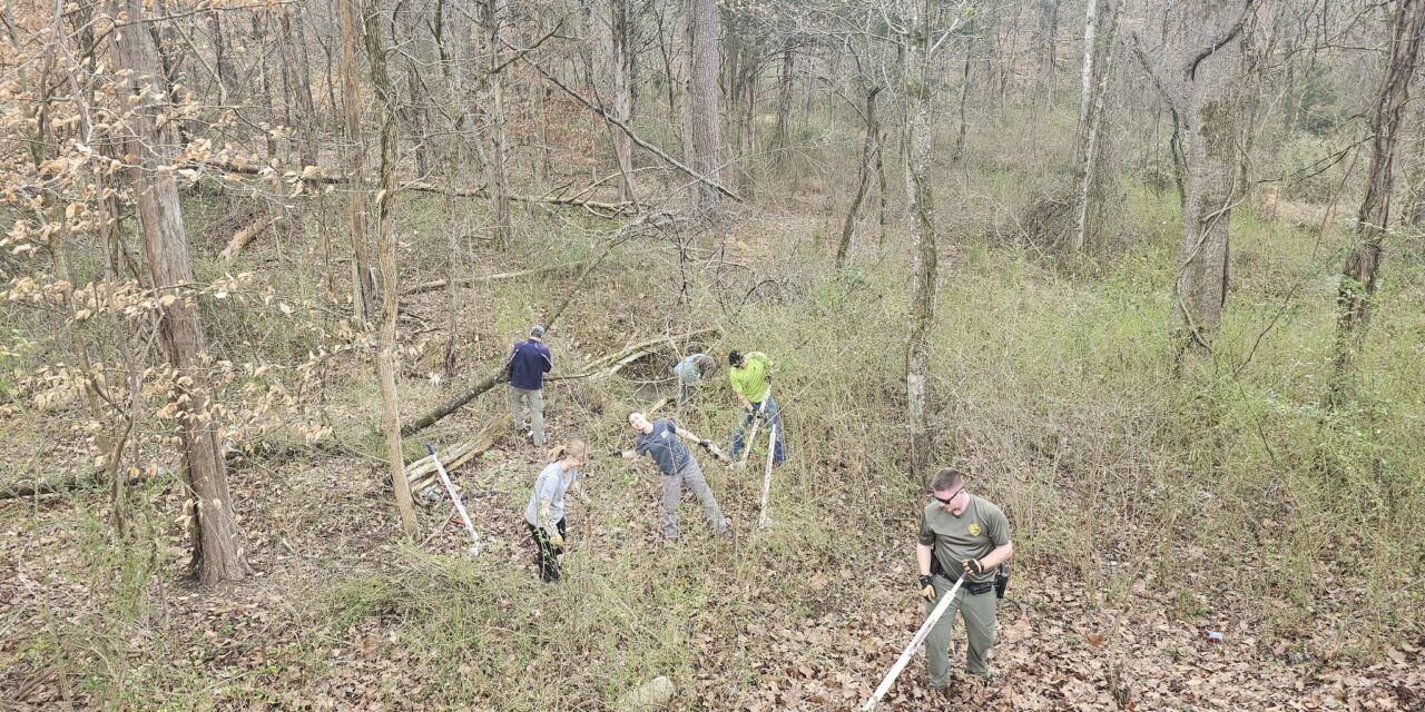 Weed Wrangle + Nourish Knoxville/ Zoë Fuller + Slick City ++