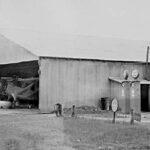 Sunlit silence: the boy who lived