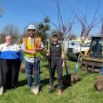 Trees at Five Points + Tremont writers retreat + Grow Oak Ridge
