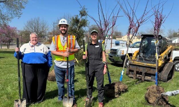 Trees at Five Points + Tremont writers retreat + Grow Oak Ridge