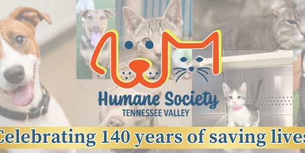 Mission Monday: Empower community ministries