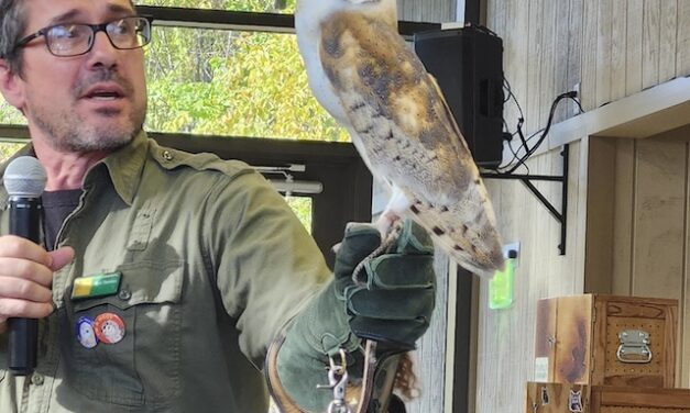 At Owl Ridge Raptor Center, every bird deserves a second chance