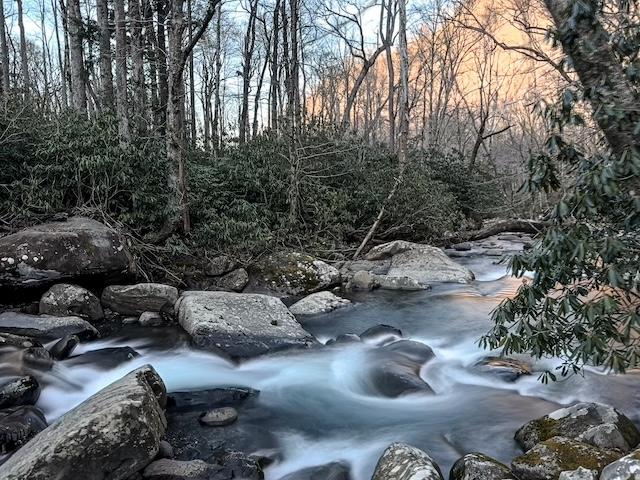Echoes along the creek: Our hikers concordance with Jenny Bennett