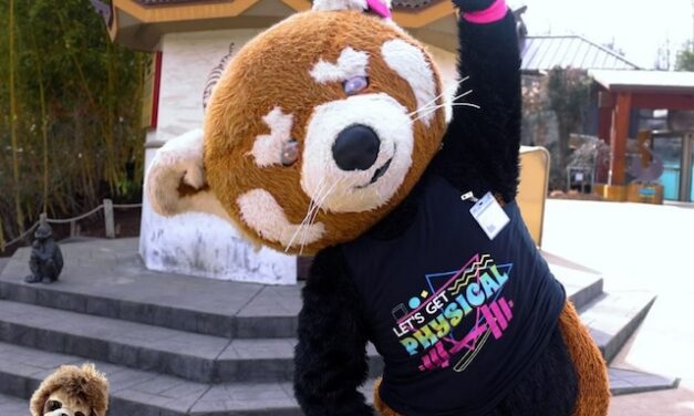 Red Panda Run 5K~May 30~Registration open