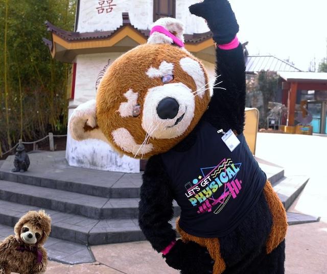 Red Panda Run 5K~May 30~Registration open