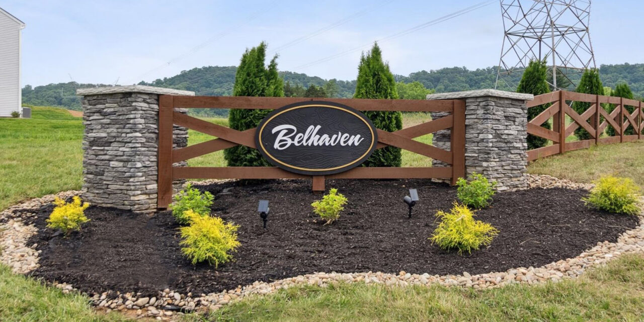 Loans doubled values from previous week