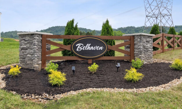 Loans doubled values from previous week