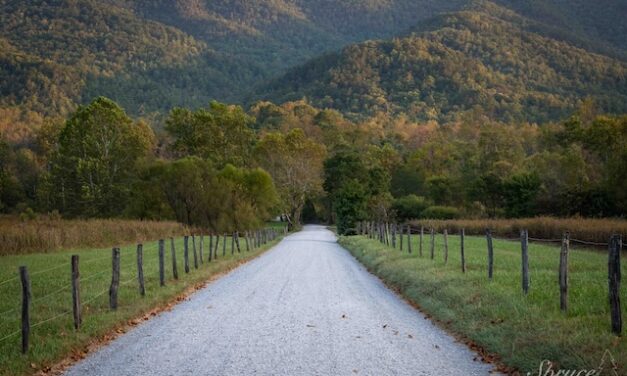 Close to Home, Far from Ordinary: The back way to Cades Cove, worth every curve