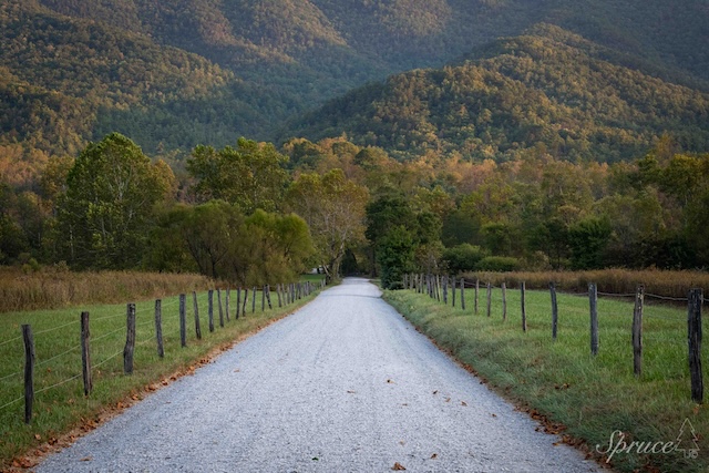 Close to Home, Far from Ordinary: The back way to Cades Cove, worth every curve