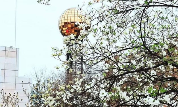 ArtBeat: Spotlight on the Knoxville Art Scene