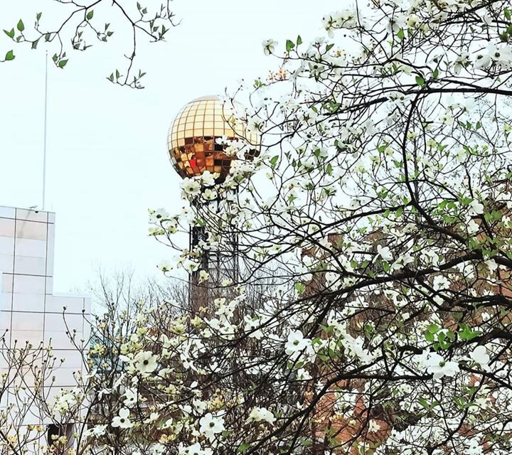 ArtBeat: Spotlight on the Knoxville Art Scene