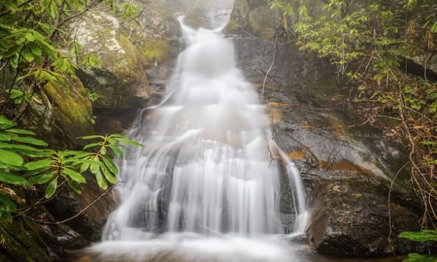 Barbara Jean Falls: A personal tribute from her Son of Appalachia 