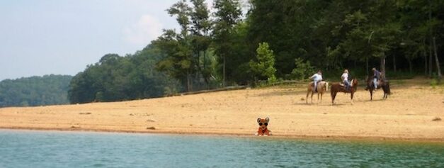 Close to Home, Far from Ordinary: Norris Dam State Park, where the road gets quiet