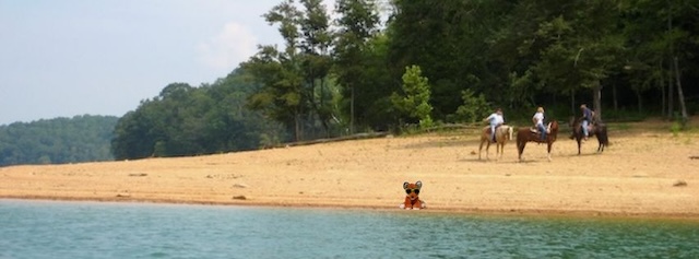 Close to Home, Far from Ordinary: Norris Dam State Park, where the road gets quiet