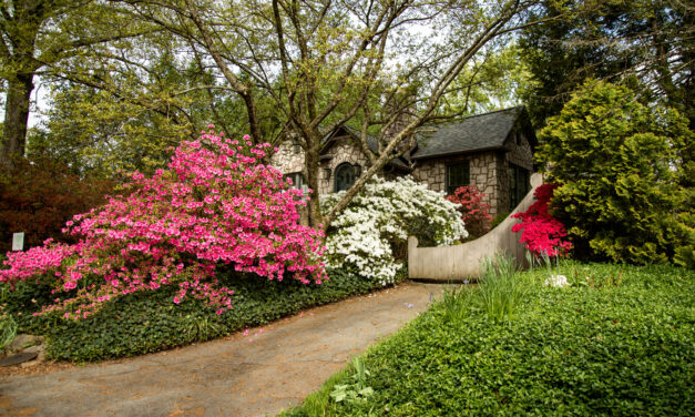 RAM + Dr. Charles Wender + HPUD retirees + Joni and Friends ++