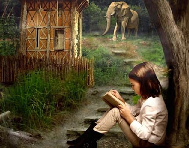 Young Reader’s Shelf: Ruby Lu, Brave and True & more