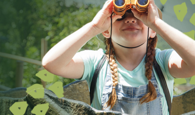 Zoo Knoxville is the family choice for fun