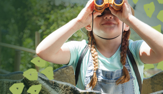 Zoo Knoxville is the family choice for fun