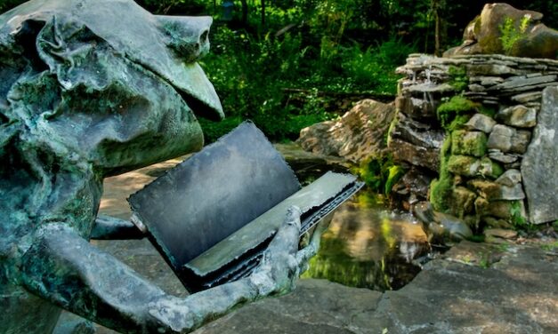 Tales from the Lily Pad