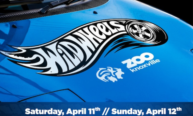 Wild Wheels at Zoo Knoxville this weekend