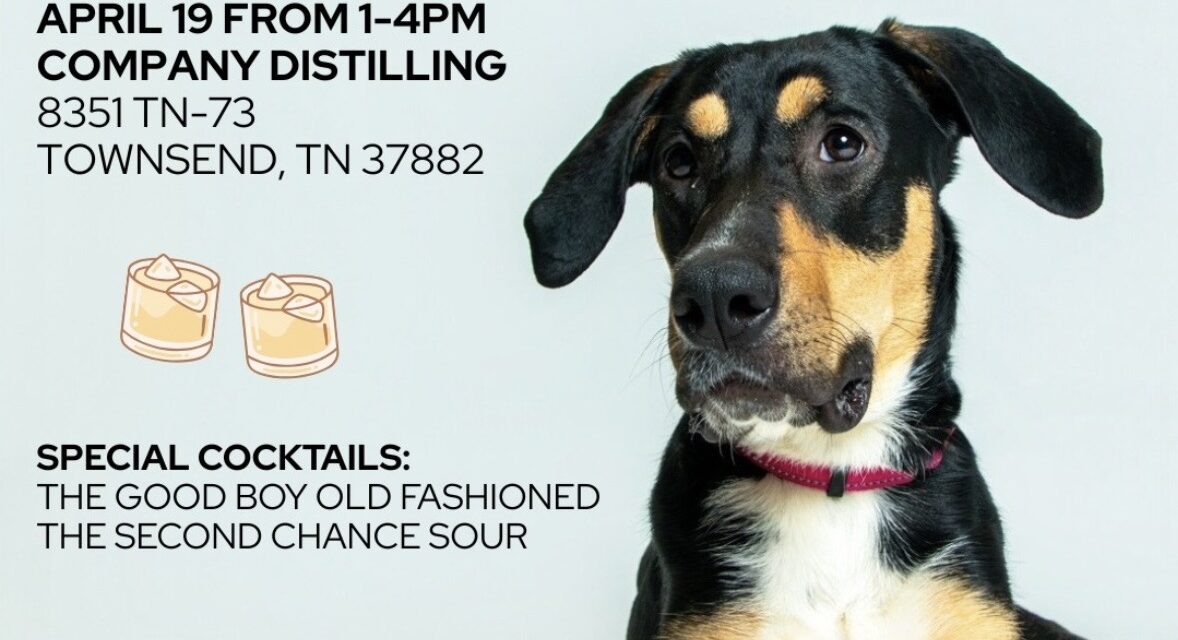Barks & Bourbon: Raising spirits and saving lives