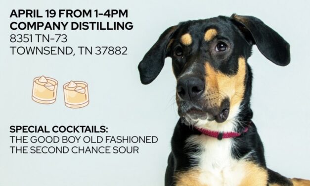 Barks & Bourbon: Raising spirits and saving lives