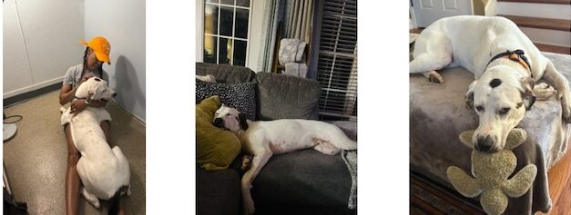 Big love in a big package: Sampson’s happy ending
