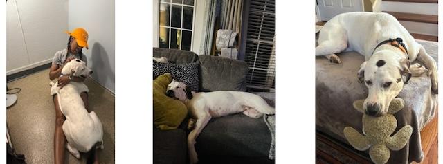Big love in a big package: Sampson’s happy ending