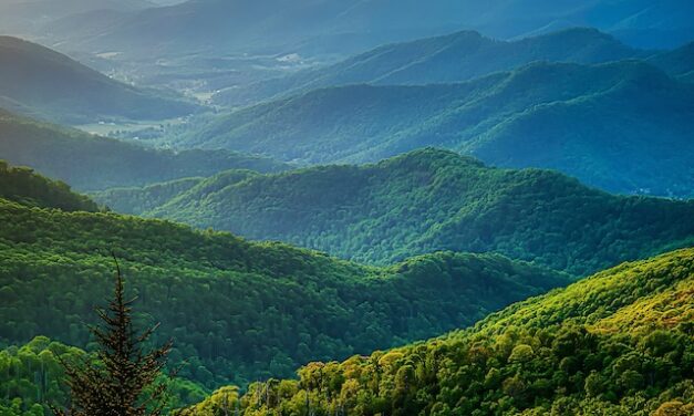 Deep Greens and Blues: A late-afternoon gift on the Craggy Gardens section of the Blue Ridge Parkway
