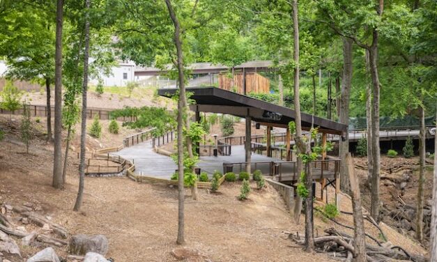 The Boyd Foundation Boardwalk at Clayton Timber Loop opens to daytime guests at Zoo Knoxville