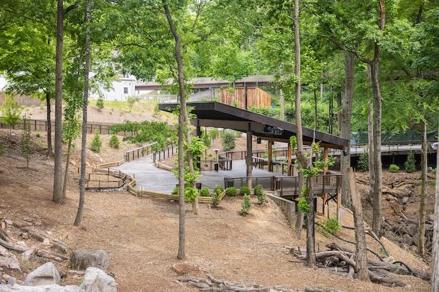 The Boyd Foundation Boardwalk at Clayton Timber Loop opens to daytime guests at Zoo Knoxville