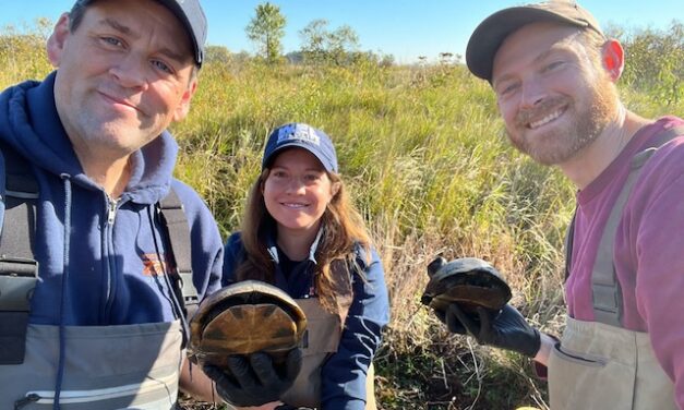 Stories from a wildlife veterinarian: Box Turtles to Penguins, an in-person presentation