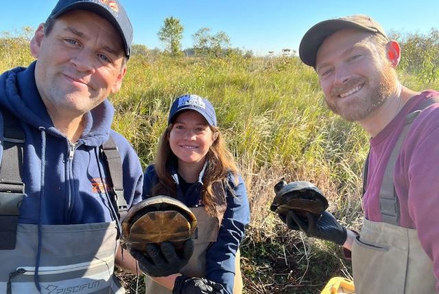 Stories from a wildlife veterinarian: Box Turtles to Penguins, an in-person presentation