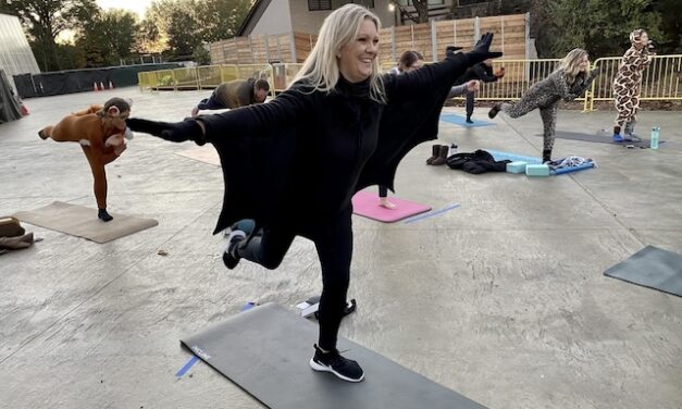 Blue Ridge Yoga & Zoo Knoxville presents “Yoga at the Zoo” on May 29