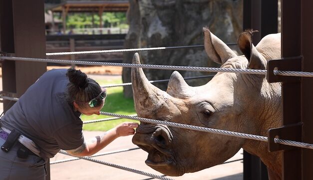 Zoo Knoxville has Wild Access tours (limited so act now)
