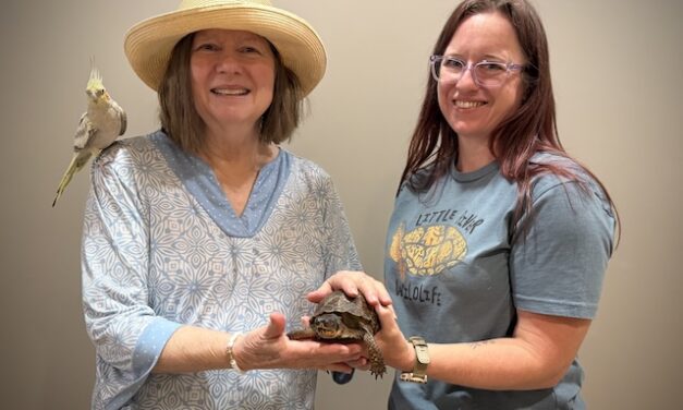 Above & Beyond: Seniors turn lemons into aid for wildlife