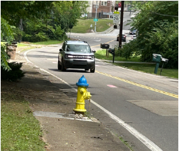 Pedestrian safety—sidewalk saga