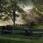 Morning Fog in the Cove