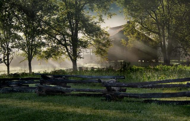 Morning Fog in the Cove