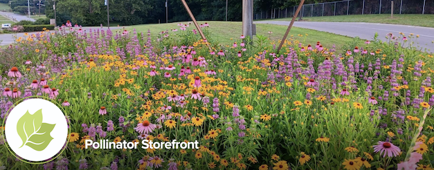 Plant flowers like wildlife depends on it. They do!