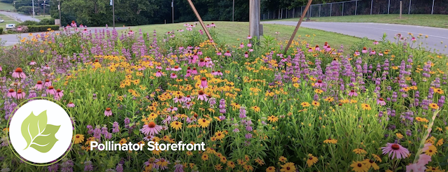 Plant flowers like wildlife depends on it. They do!