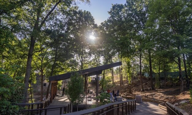 Zoo Knoxville introduces Summer Concert Series